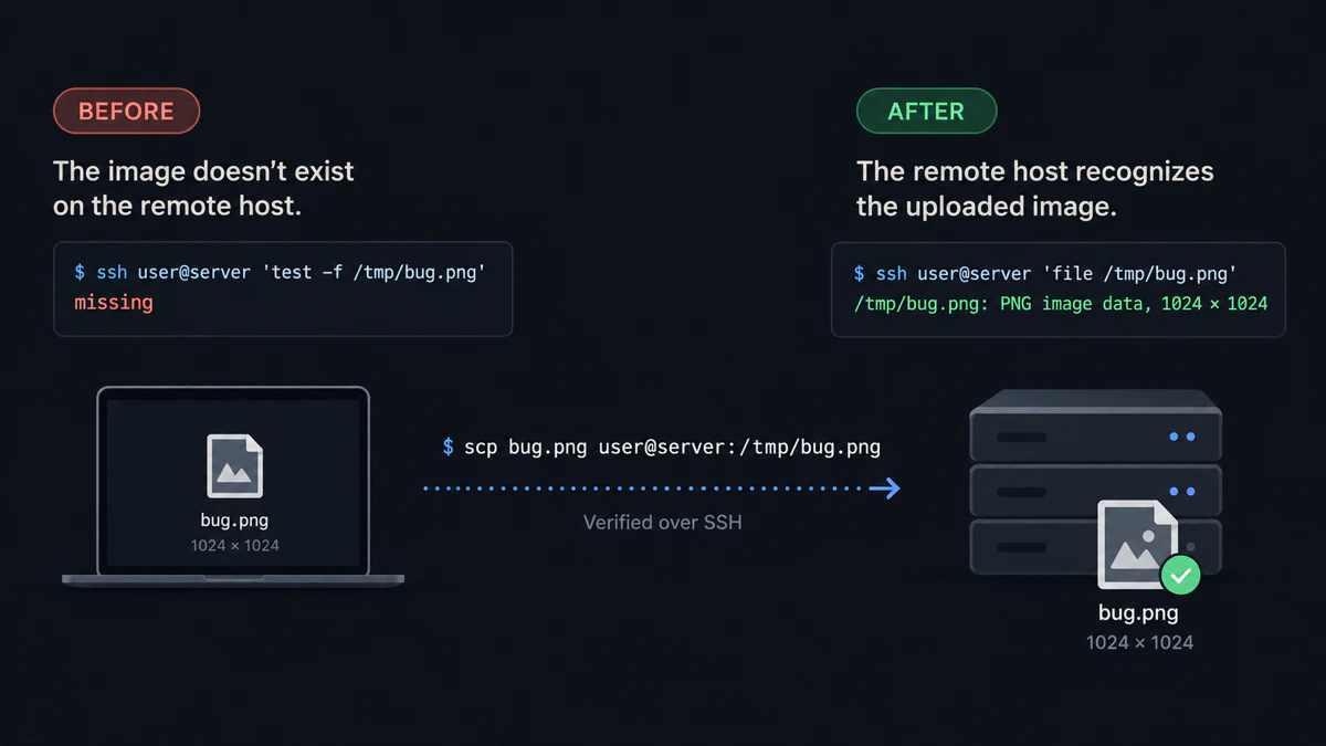 A visual summary of the tested no-image-found workflow: the remote image is missing before scp and readable afterward.
